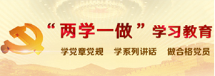 两学一做